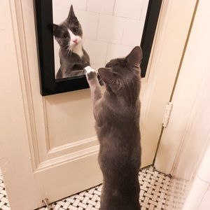 Meet your Posher, Michaela